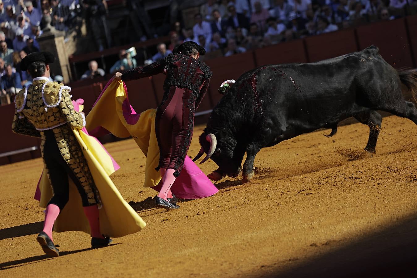 Detalles de la corrida de toros de este viernes en la plaza de la Maestranza