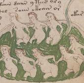 Un estudio afirma que el manuscrito Voynich esconde un manual sobre sexo