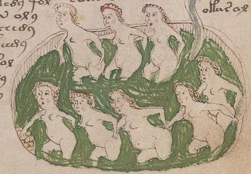 Un estudio afirma que el manuscrito Voynich esconde un manual sobre sexo