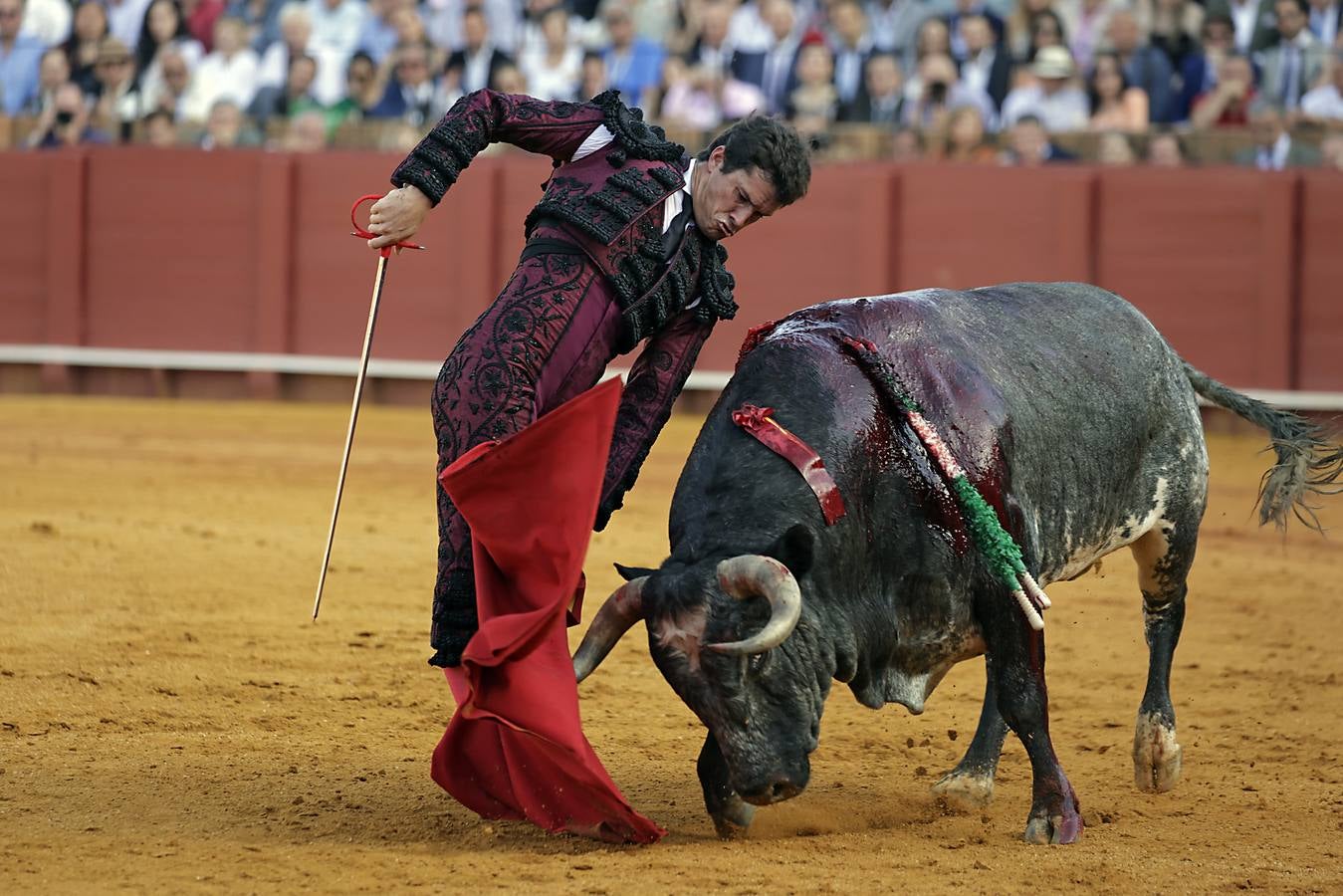 Daniel Luque, en su actuación en el coso sevillano este jueves de farolillos