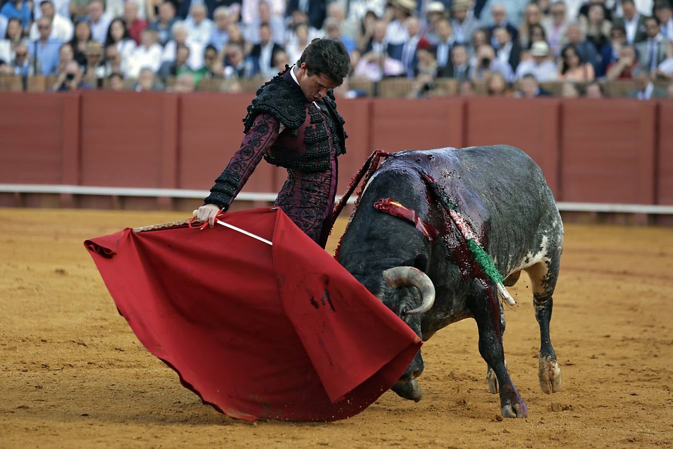 Daniel Luque, en su actuación en el coso sevillano este jueves de farolillos