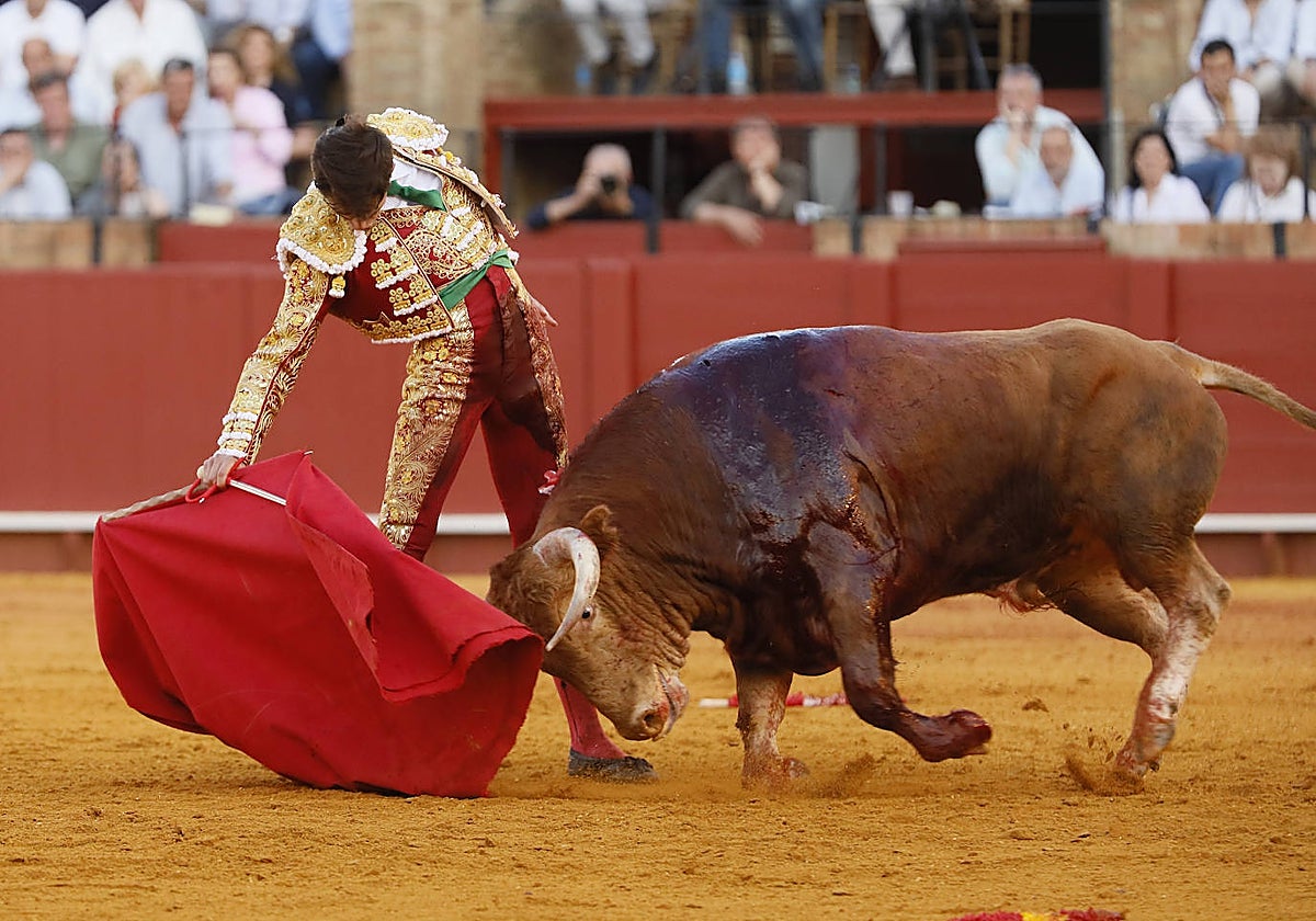Muletazo en redondo de Samuel Navalón al quinto, el novillo de mayor vibración del encierro de Julio de la Puerta