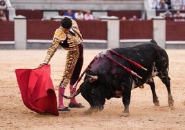 Quién torea hoy, viernes 17, en la Feria de San Isidro: cartel, horario y dónde ver en TV y online