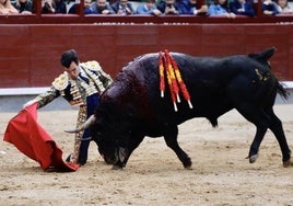 Tomás Rufo susurra el toreo con Bocinero en el Día Internacional de la Tauromaquia