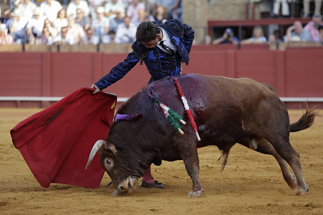 Novillada de abono en la Maestranza para Manuel Román, Javier Zulueta y Diego Bastos
