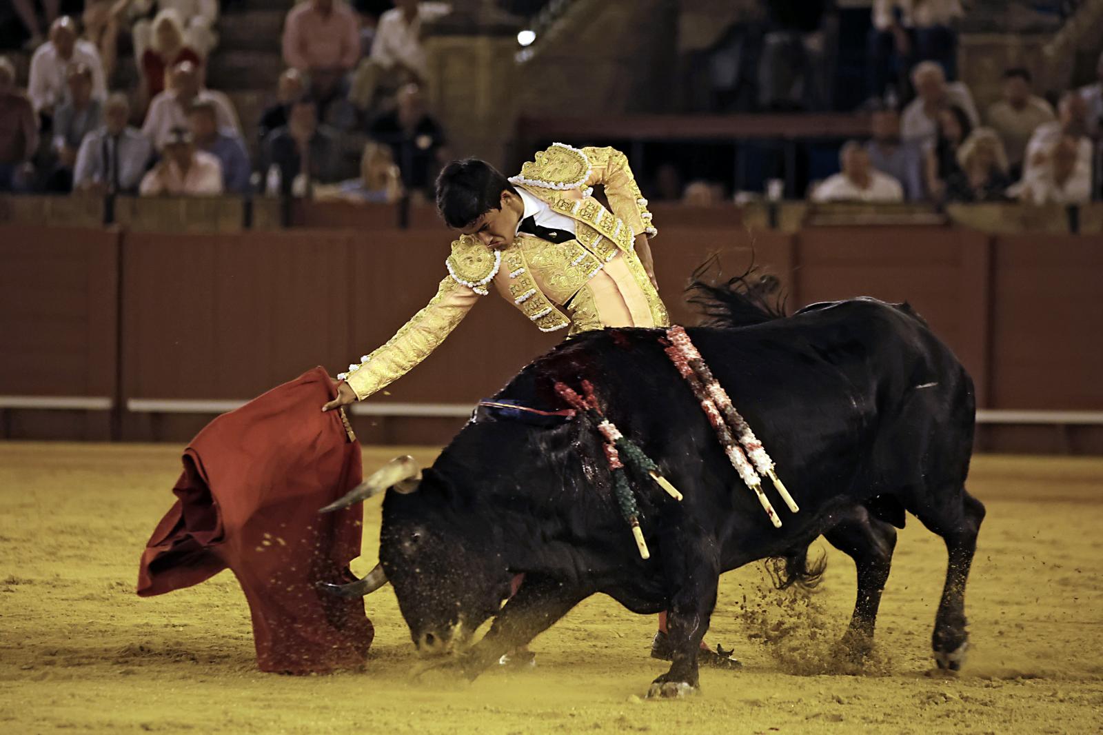Imágenes de la novillada en la Maestranza de Sevilla de Nek Romero, Tomás Bastos y Martín Morilla
