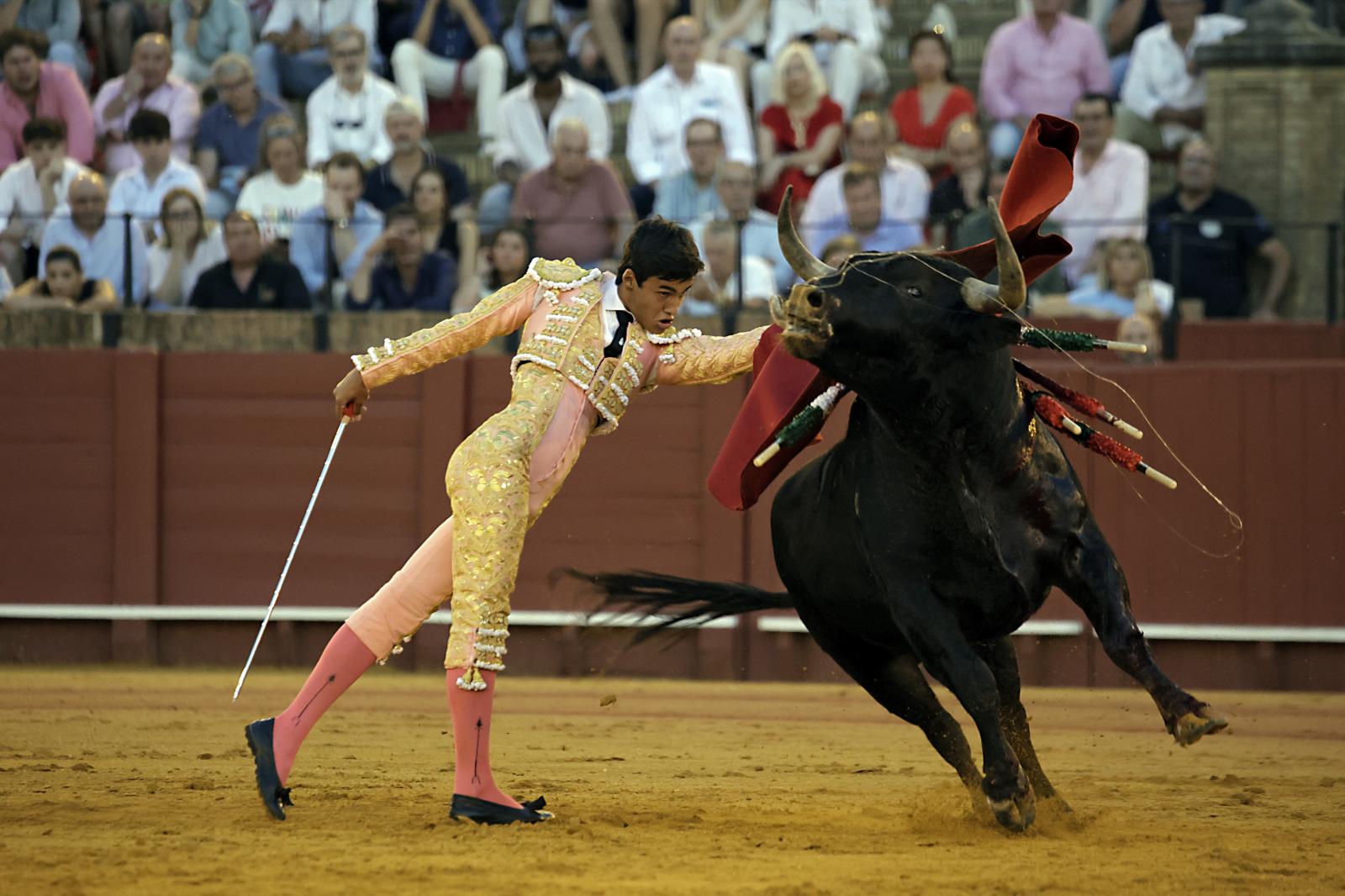 Imágenes de la novillada en la Maestranza de Sevilla de Nek Romero, Tomás Bastos y Martín Morilla