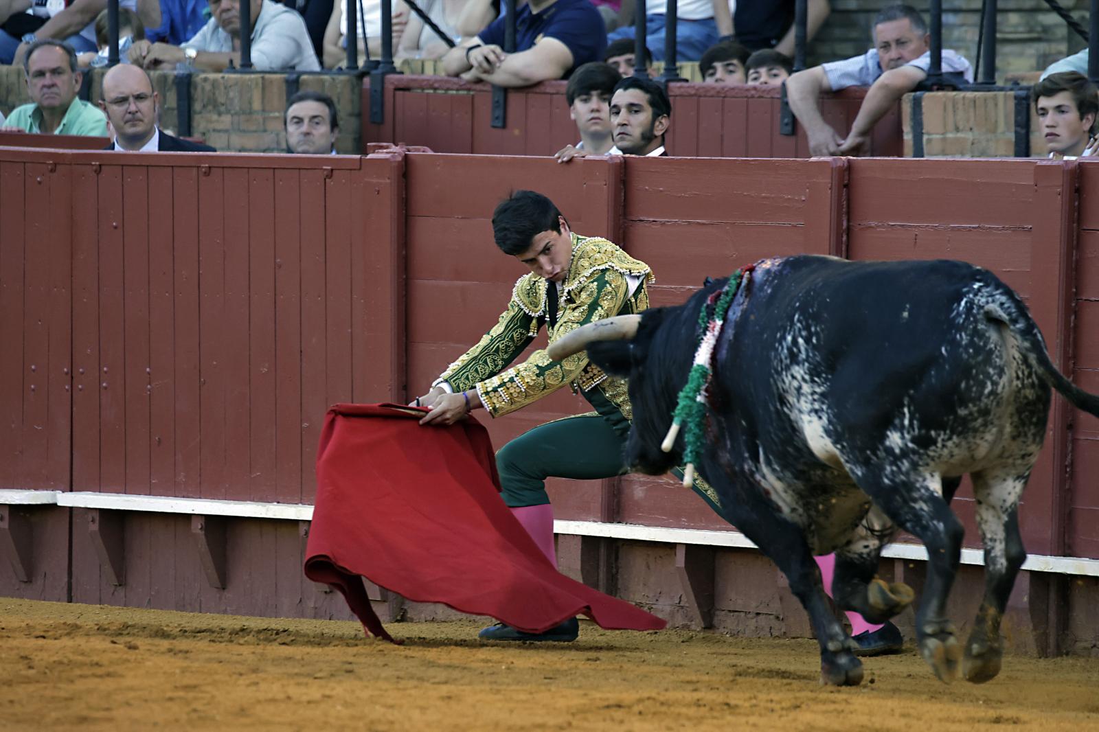 Imágenes de la novillada en la Maestranza de Sevilla de Nek Romero, Tomás Bastos y Martín Morilla