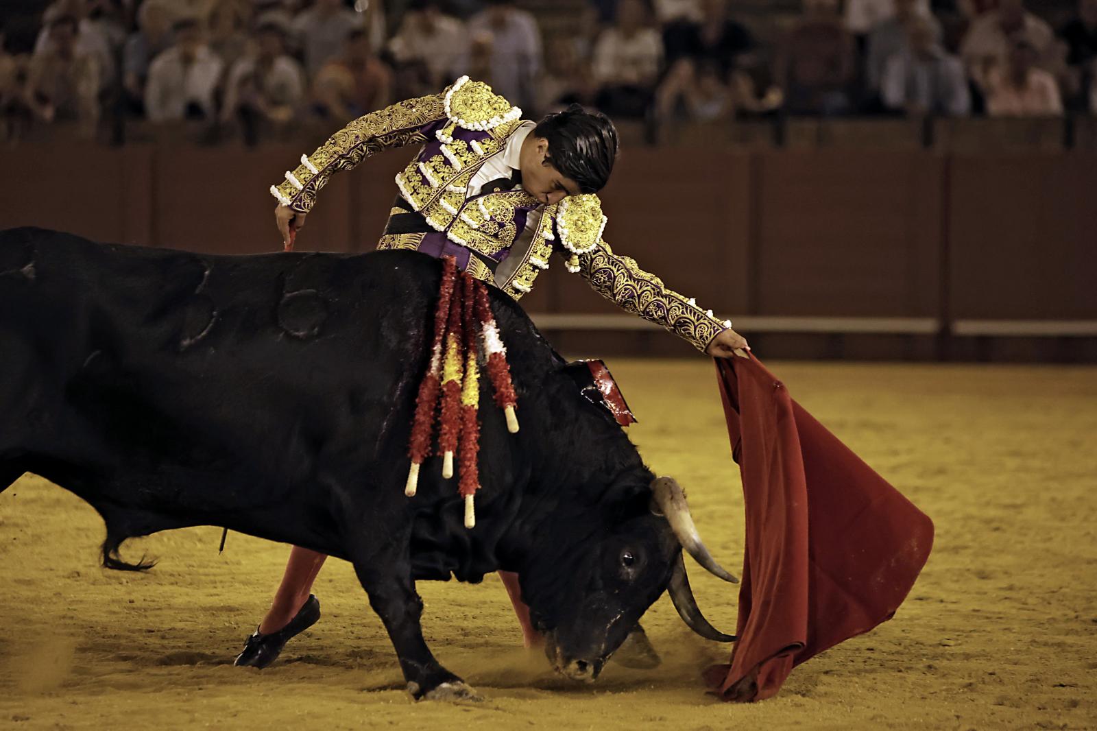 Imágenes de la novillada en la Maestranza de Sevilla de Nek Romero, Tomás Bastos y Martín Morilla