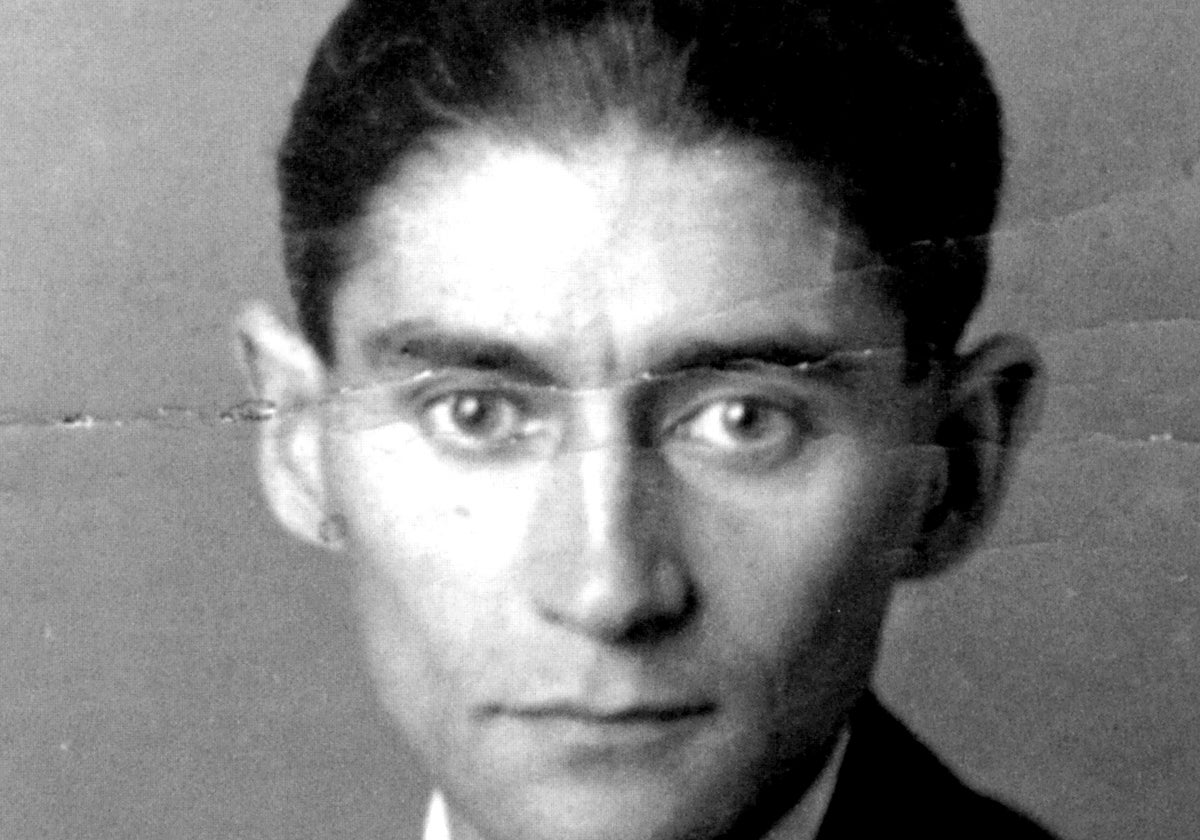 Aprecio por las cucarachas