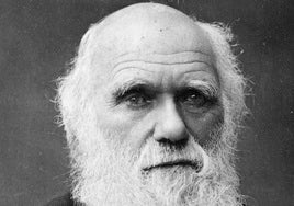 Charles Darwin : la curiosidad como método