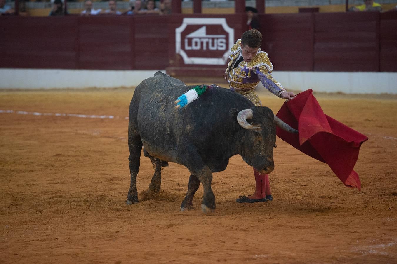 Un momento de la tarde de toros que brindó este viernes en La Línea el torero Borja Jiménez