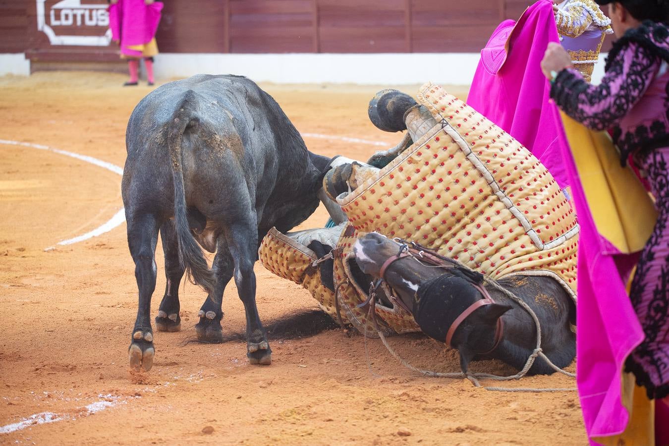 Un momento de la tarde de toros que brindó este viernes en La Línea el torero Borja Jiménez