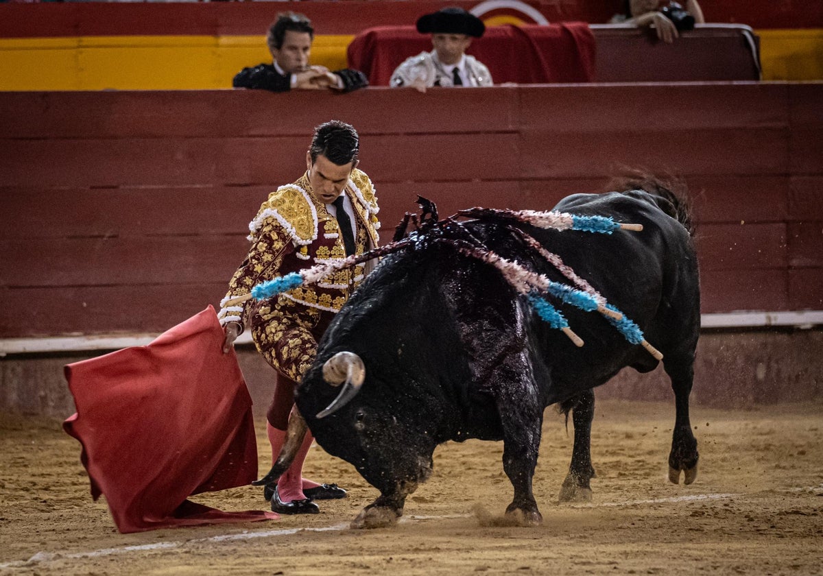 Manzanares en Valencia