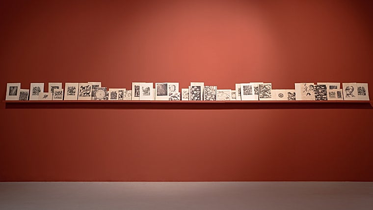 'Naturalezas insólitas',