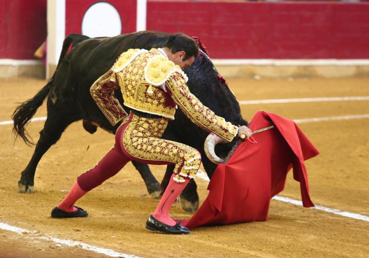 Ponce en Zaragoza