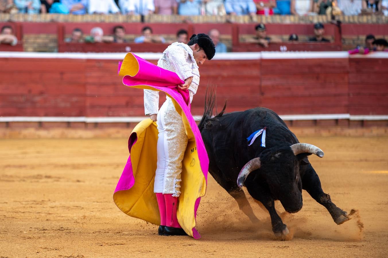 David de Miranda cuajó faenas premiadas con 7 orejas