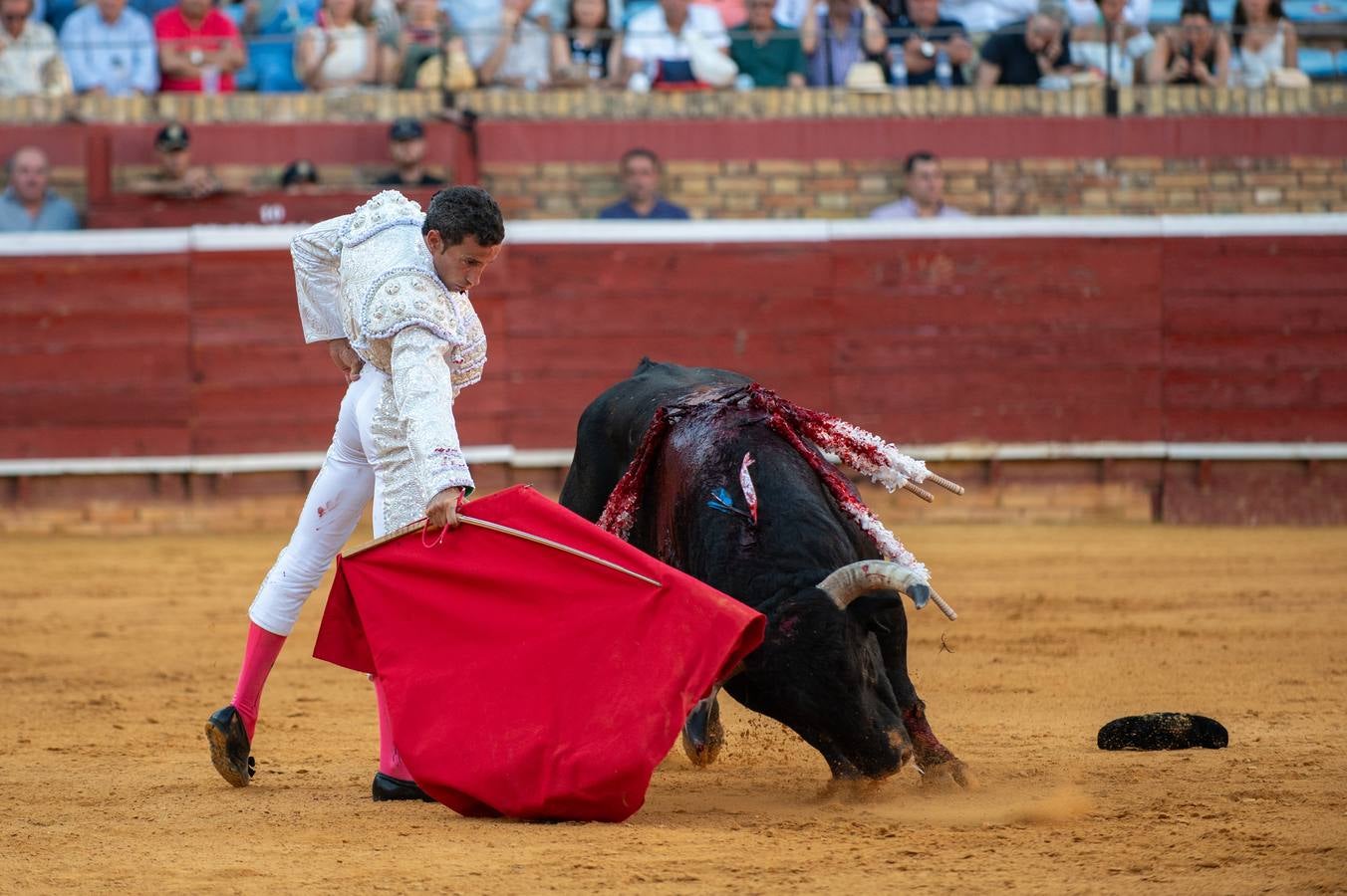 David de Miranda cuajó faenas premiadas con 7 orejas