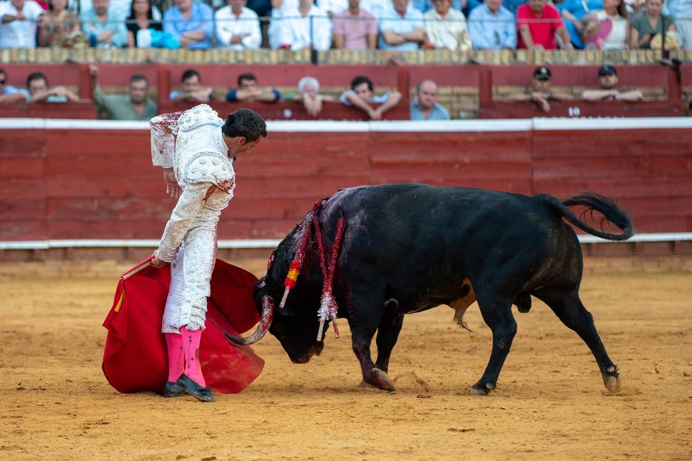 David de Miranda cuajó faenas premiadas con 7 orejas