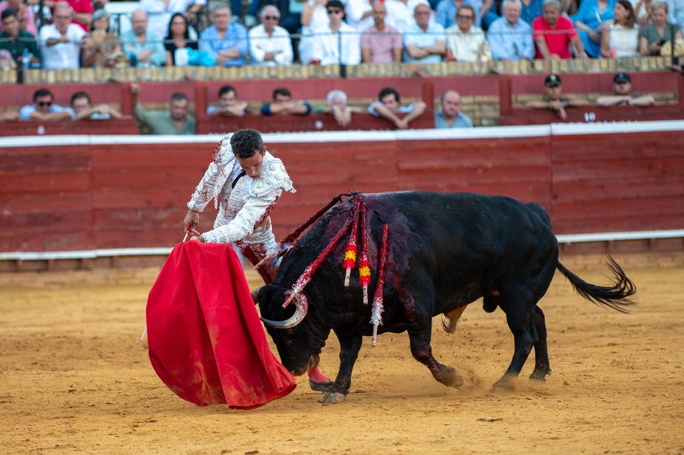 David de Miranda cuajó faenas premiadas con 7 orejas