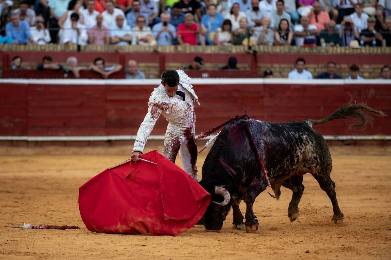 David de Miranda cuajó faenas premiadas con 7 orejas