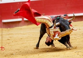 Duro percance de Perera en una inolvidable tarde de toros y toreros en Illumbe