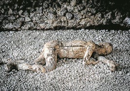 En el infierno de Pompeya hubo supervivientes que reescriben la historia