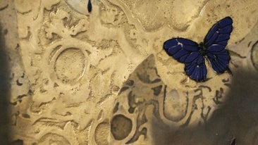 José María Sicilia 