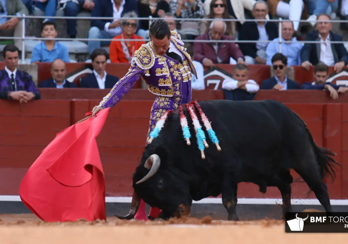 Botijero, con el hocico en la arena frente a las telas manzanaristas