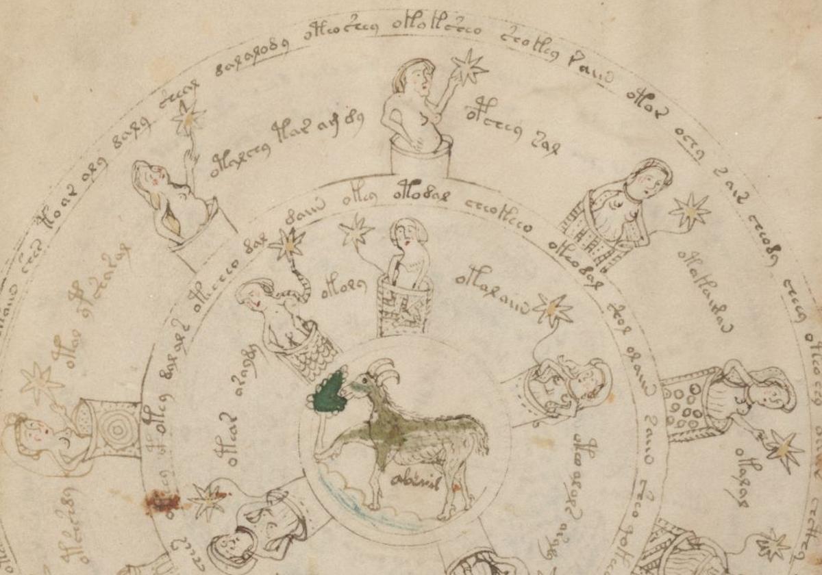 Detalle de una página del manuscrito Voynich o 'Beinecke Rare Book & Manuscript Library MS 408'