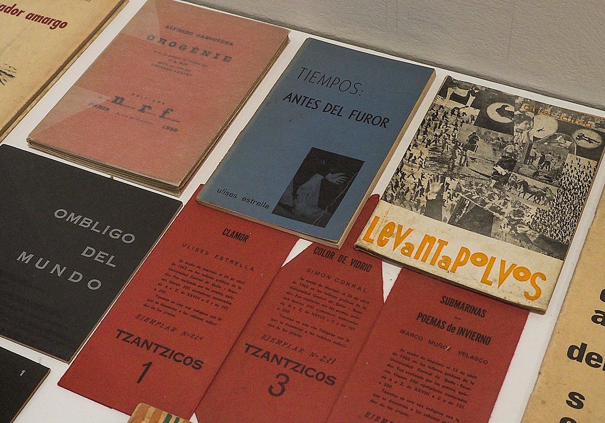 Detalle de los contenidos de la exposición
