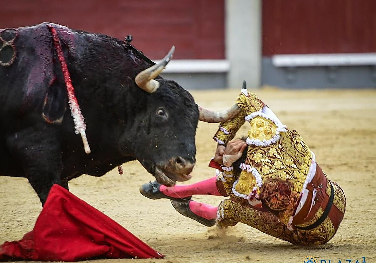 La cogida de Roca Rey en la plaza de las Ventas