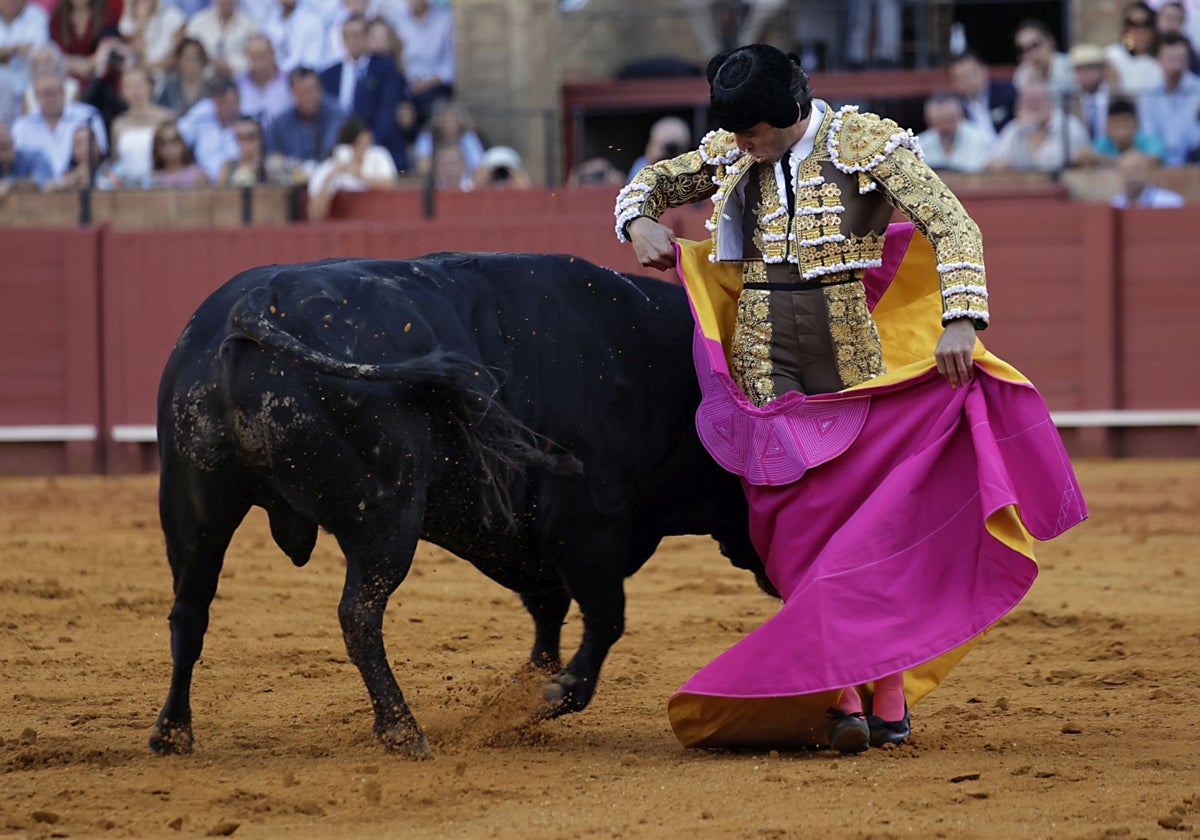 Particular galleo por chicuelinas de Juan Ortega, rectificando sólo medio paso atrás –o hacia adelante–, en la pasada Feria de San Miguel