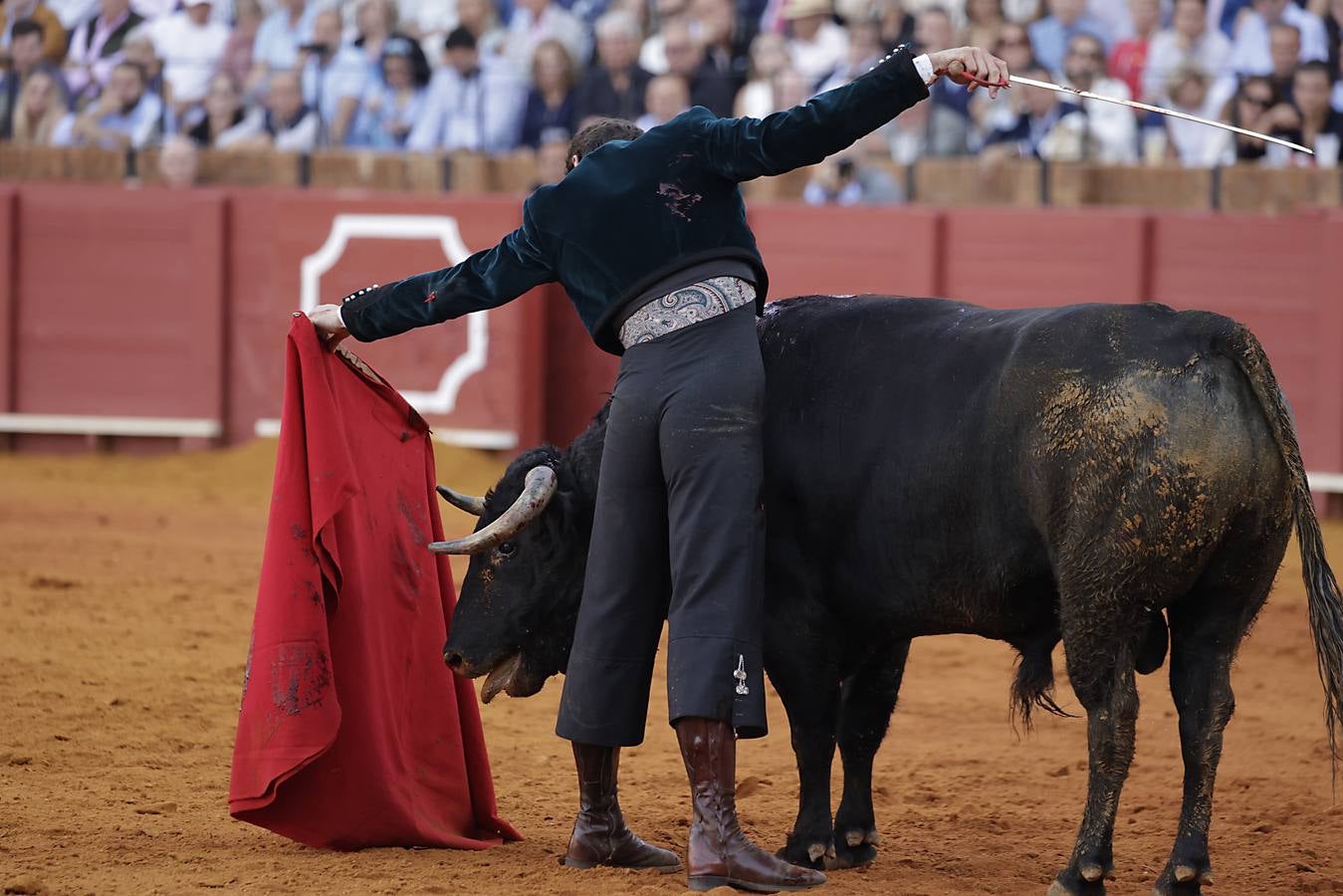 Imágenes del festival taurino a beneficio de Los Gitanos y que ha contado con la presencia de Curro Romero en los tendidos