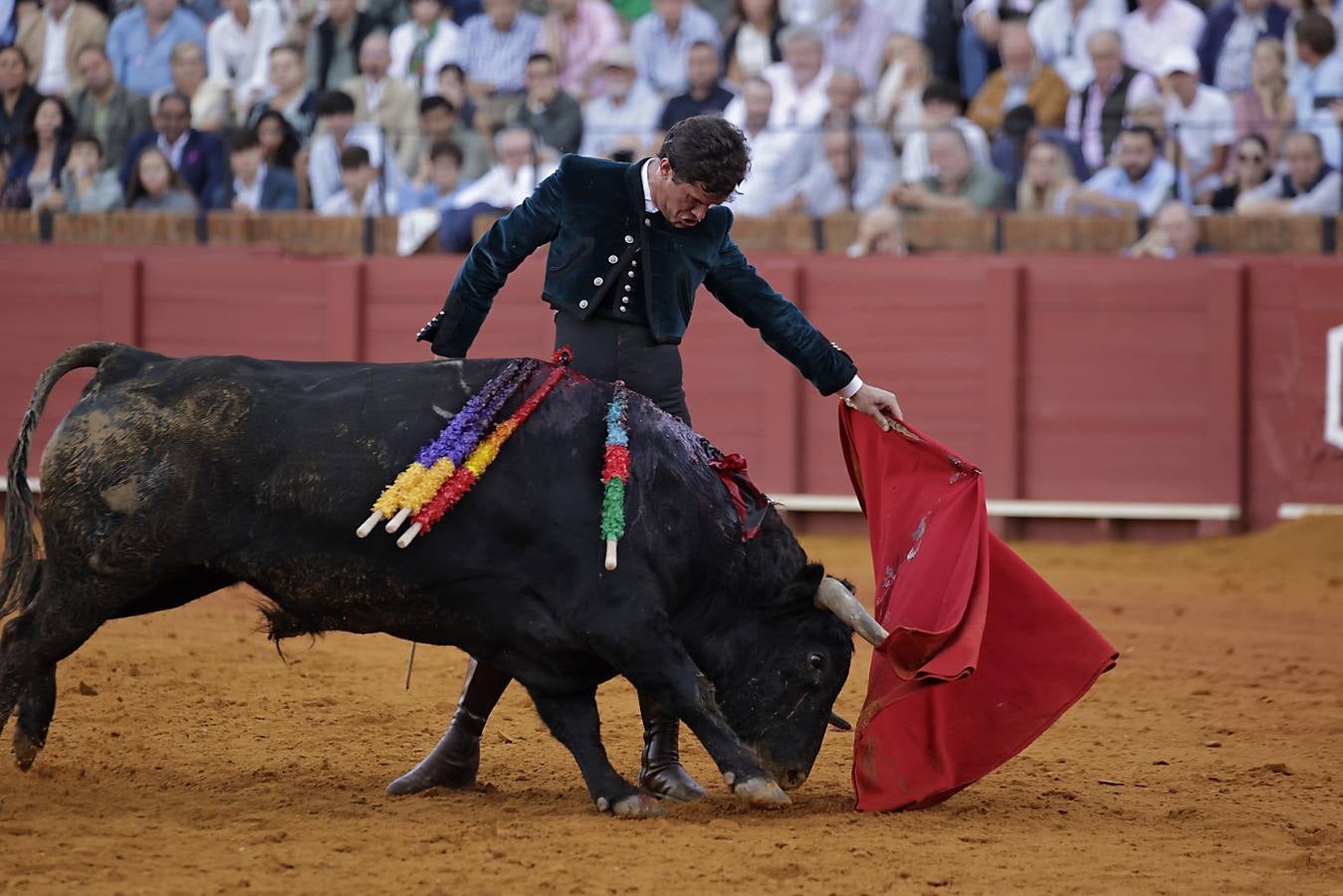 Imágenes del festival taurino a beneficio de Los Gitanos y que ha contado con la presencia de Curro Romero en los tendidos