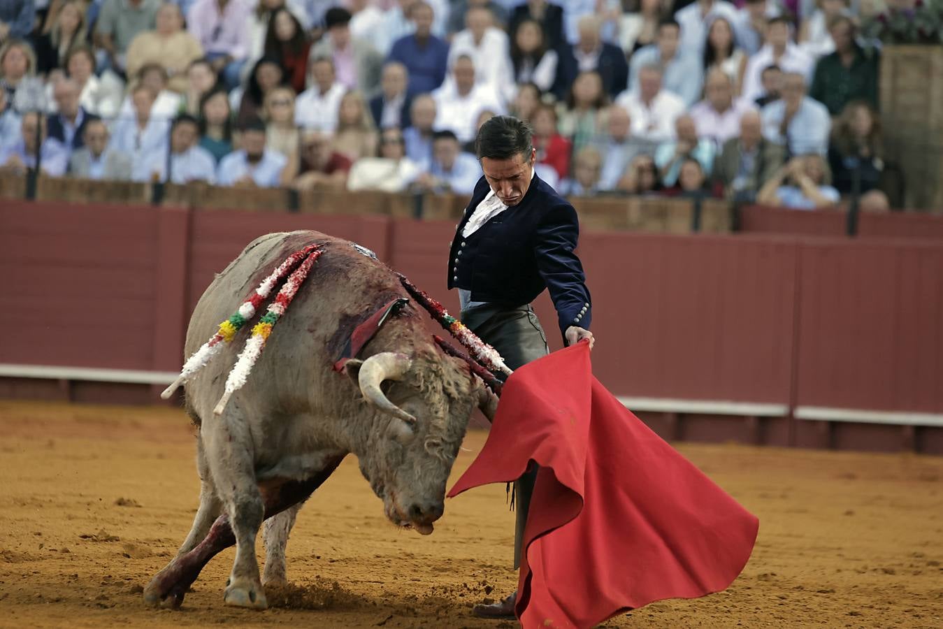 Imágenes del festival taurino a beneficio de Los Gitanos y que ha contado con la presencia de Curro Romero en los tendidos