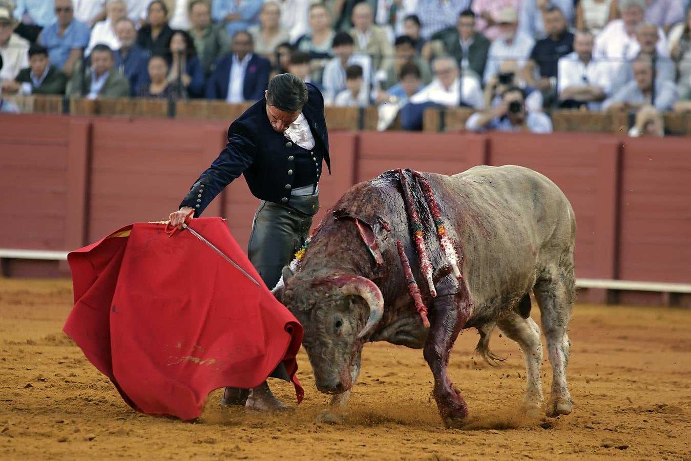 Imágenes del festival taurino a beneficio de Los Gitanos y que ha contado con la presencia de Curro Romero en los tendidos