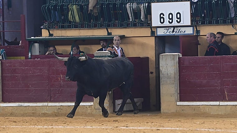 Muzaffer Luque'den tıraş olduğundan şüphelenilen iki miuraya