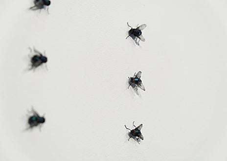 Imagen secundaria 1 - De arriba abajo, el luminoso 'There Are Other Fish in the Sea'; 'Ten fliesStearing at Each Other' y 'As Close as We Get'