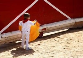 El Senado francés rechaza la propuesta de ley para apartar a los menores de los toros