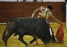 Un 2025 de retiradas:  Javier Castaño, el torero que superó un cáncer, también dirá adiós a los ruedos