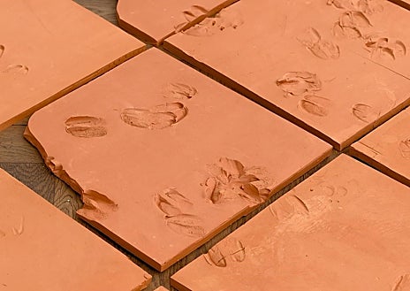 Imagen secundaria 1 - En las imáges, detalles del montaje de Satorre en Ca2M