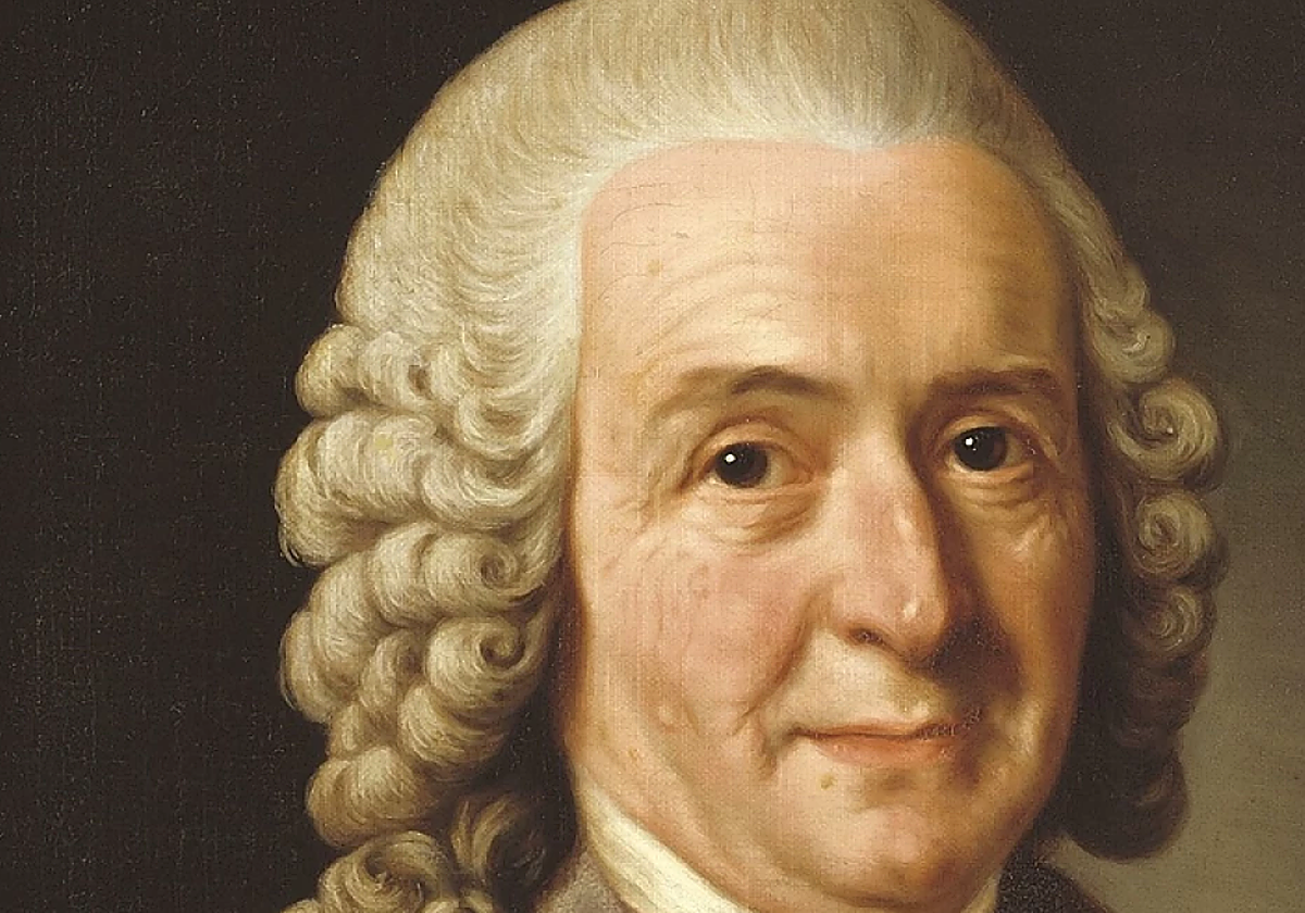 El científico sueco Carlos Linneo