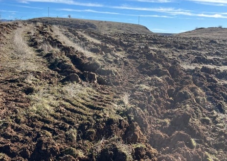 Imagen secundaria 1 - Imágenes del yacimiento arqueológico destruido