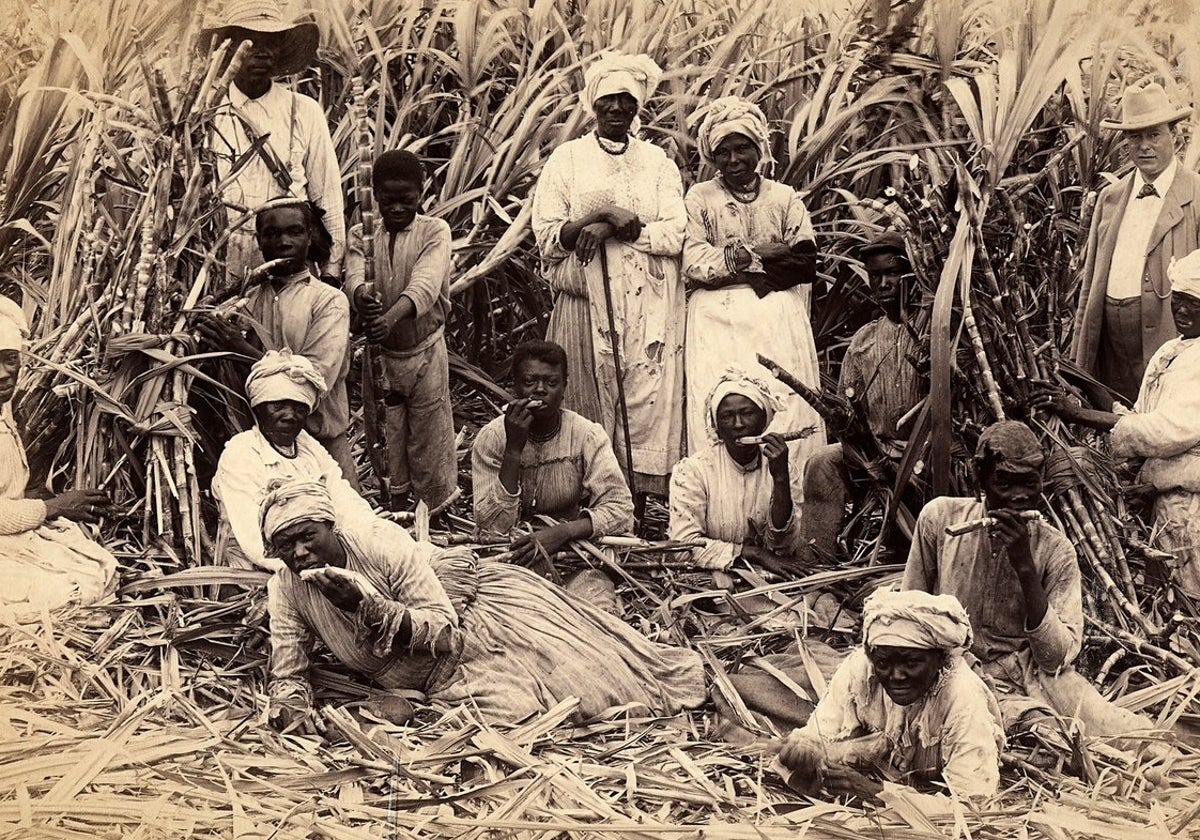 Cortadores de caña de azúcar en Jamaica, vistos por Henri Duperly