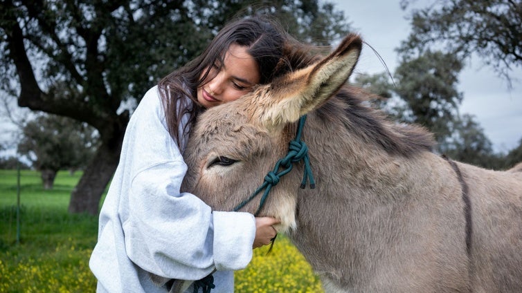 Viaje a la tierra de María José Llergo: «En Pozoblanco no le decimos al olivo cómo crecer»