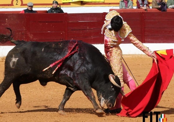 El ilusionantísimo repaso de Tomás Bastos, el tapado en la matinal de Olivenza