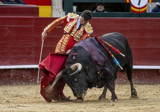 Daniel Luque aviva una tarde de toros para pingüinos en Valencia