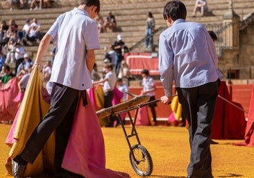 Estudiantes sevillanos practican las suertes del toreo en la plaza de la Maestranza de Sevilla