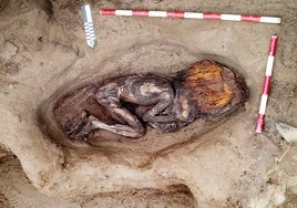 Descubren en Perú la momia de una mujer de la élite de la civilización más antigua de América